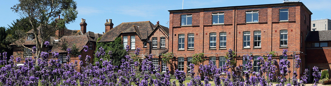 Ashford School